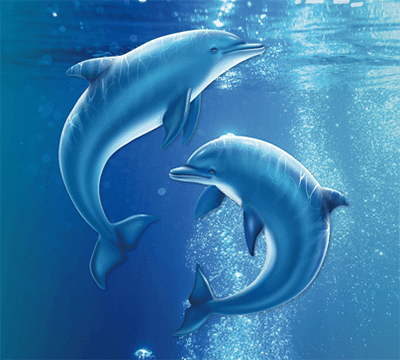 Bild der Haleon World Ocean Day Aktion